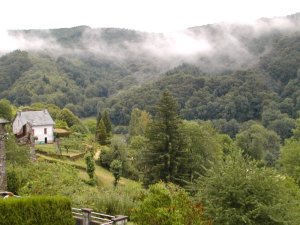 De la brume = liquide